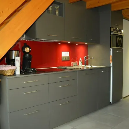 Duplex Familial 6 Pers. A Avec Balcon Et A 50m Des Pistes - Fr-1-733-67 * Crest-Voland